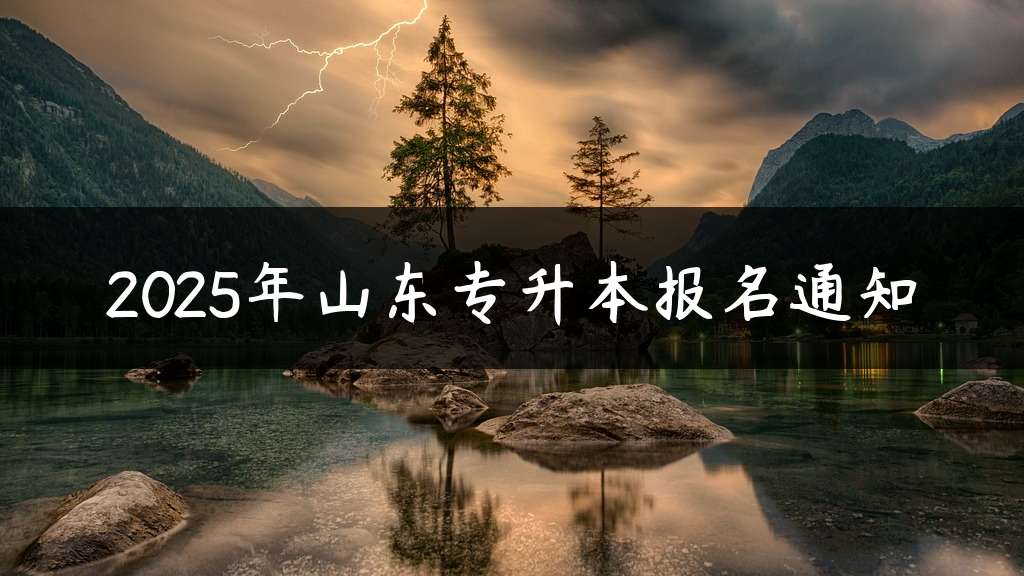 2025年山东专升本报名通知