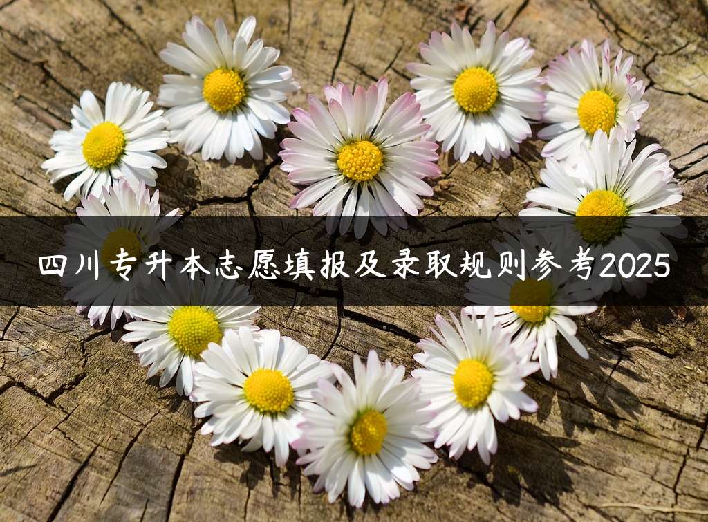 四川专升本志愿填报及录取规则参考2025