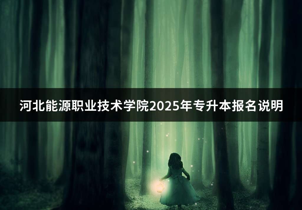 河北能源职业技术学院2025年专升本报名说明