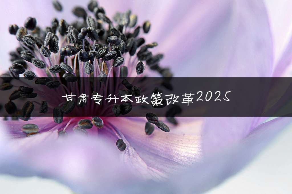 甘肃专升本政策改革2025