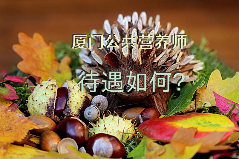 厦门公共营养师待遇如何？