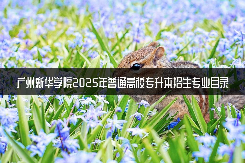 广州新华学院2025年普通高校专升本招生专业目录