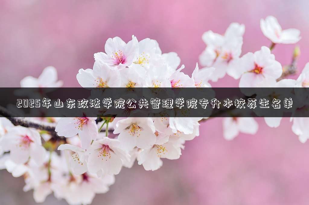 2025年山东政法学院公共管理学院专升本校荐生名单