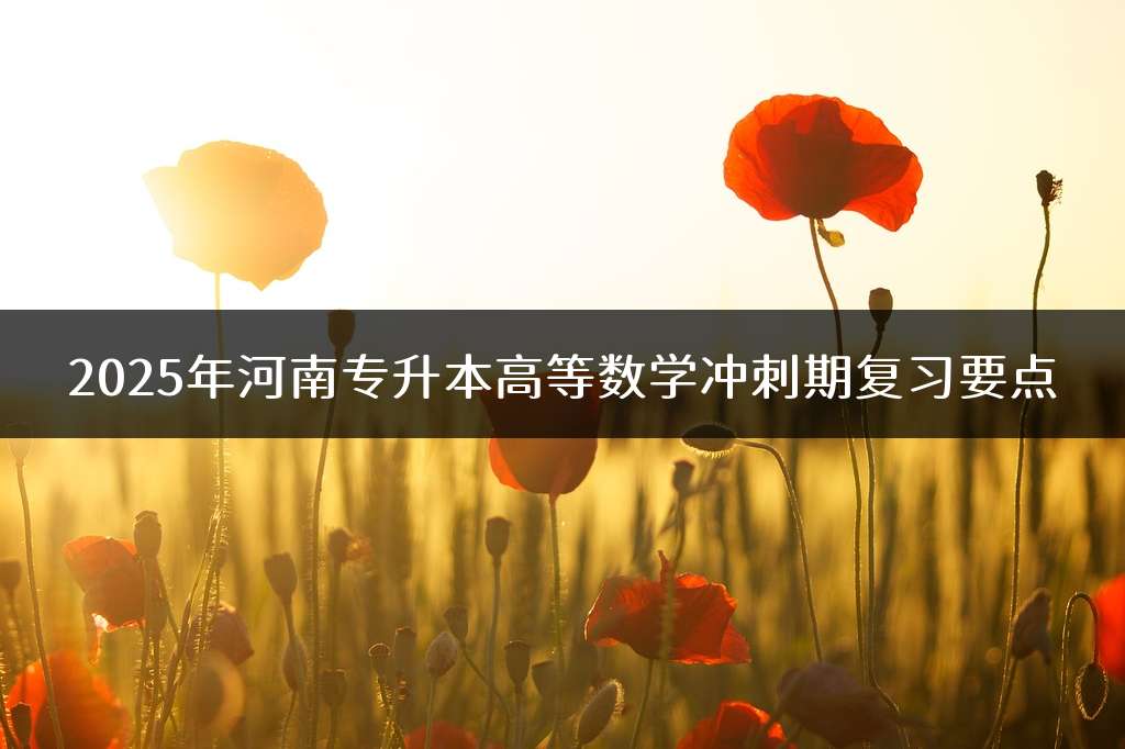 2025年河南专升本高等数学冲刺期复习要点