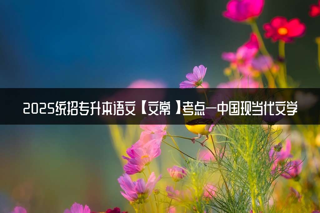 2025统招专升本语文【文常】考点—中国现当代文学