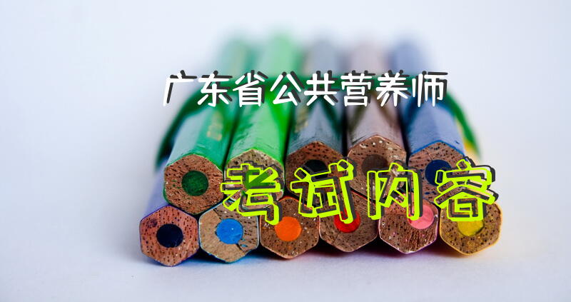 广东省公共营养师考试内容