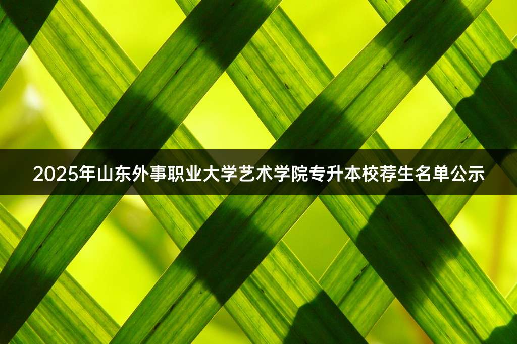 2025年山东外事职业大学艺术学院专升本校荐生名单公示