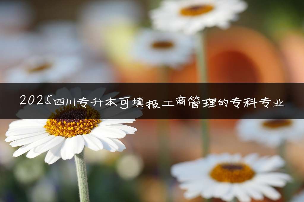 2025四川专升本可填报工商管理的专科专业
