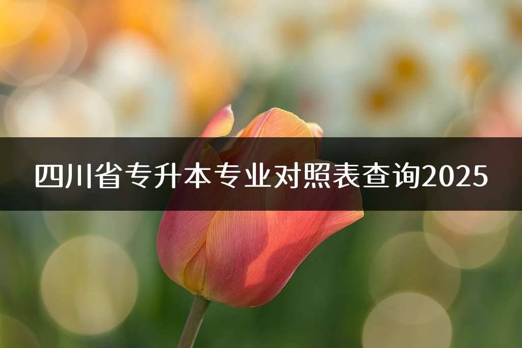 四川省专升本专业对照表查询2025