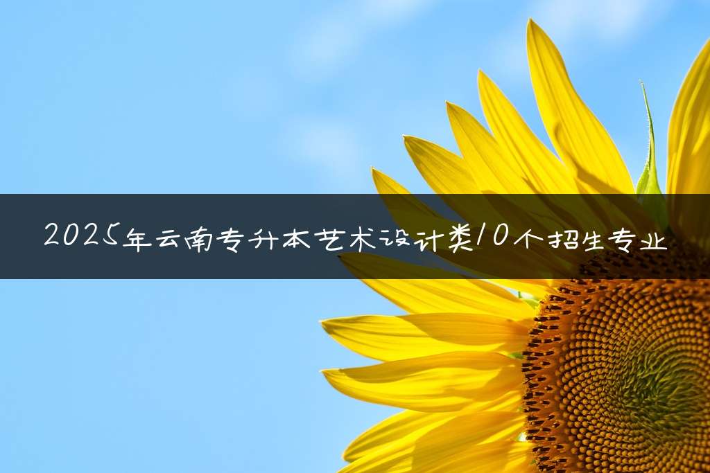 2025年云南专升本艺术设计类10个招生专业