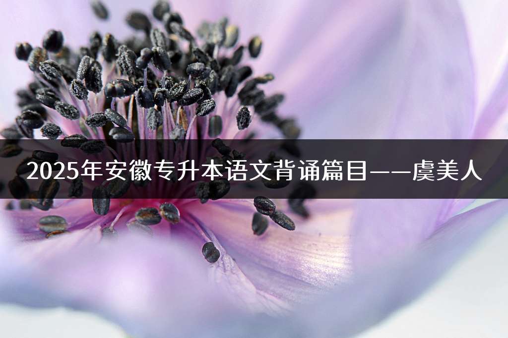 2025年安徽专升本语文背诵篇目——虞美人