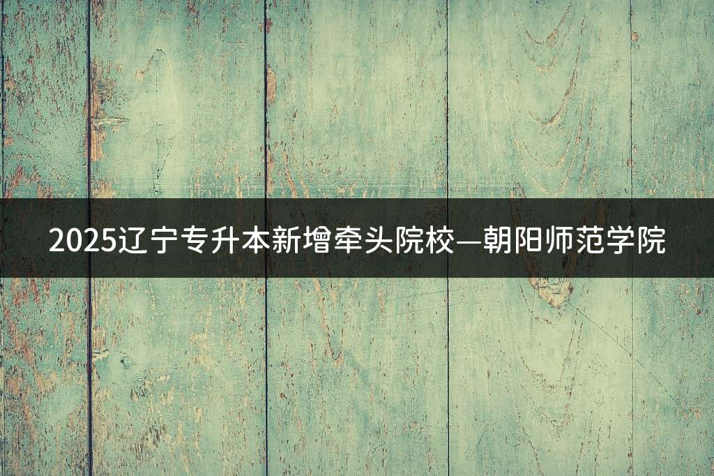 2025辽宁专升本新增牵头院校—朝阳师范学院