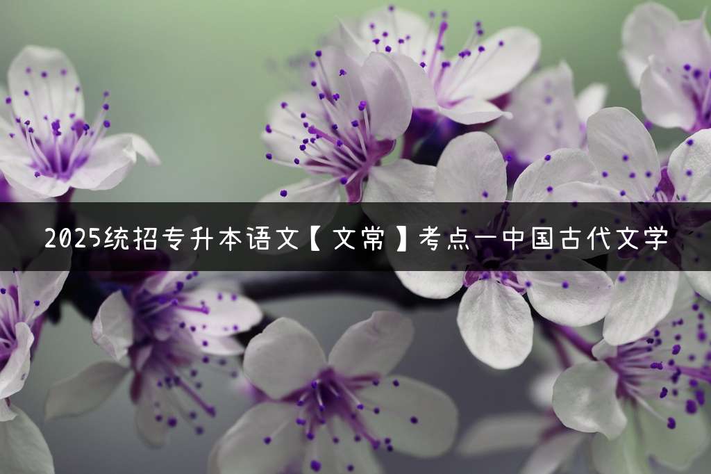 2025统招专升本语文【文常】考点—中国古代文学