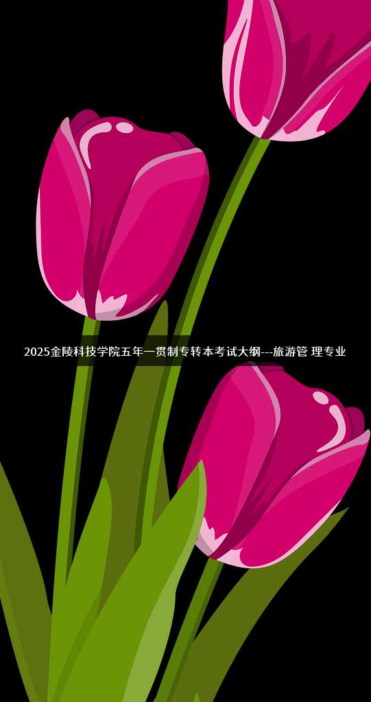 2025金陵科技学院五年一贯制专转本考试大纲---旅游管理专业