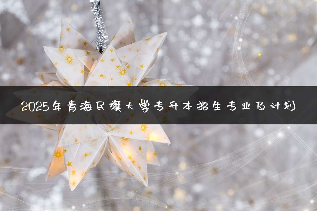 2025年青海民族大学专升本招生专业及计划