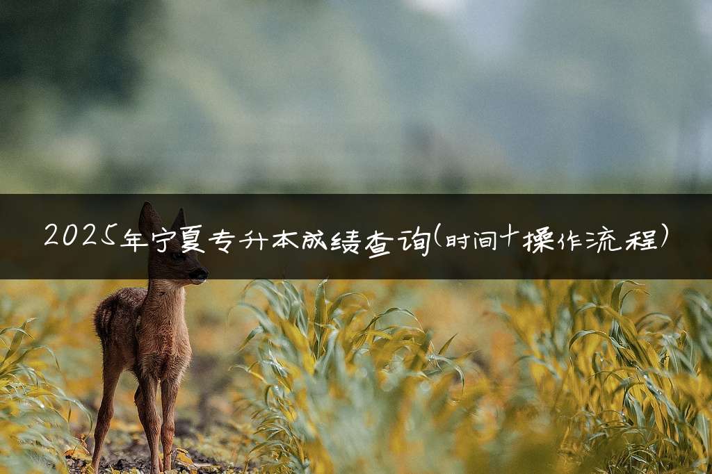 2025年宁夏专升本成绩查询(时间+操作流程)