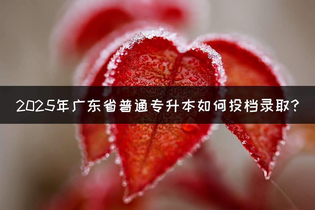 2025年广东省普通专升本如何投档录取?