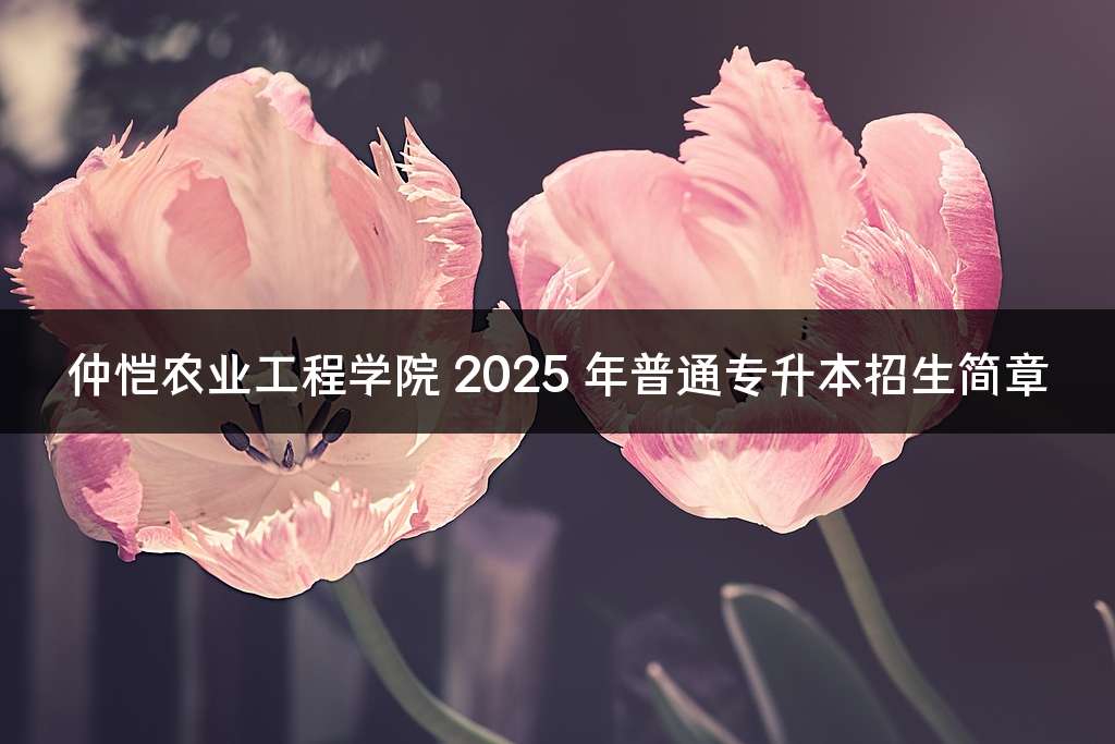 仲恺农业工程学院 2025 年普通专升本招生简章