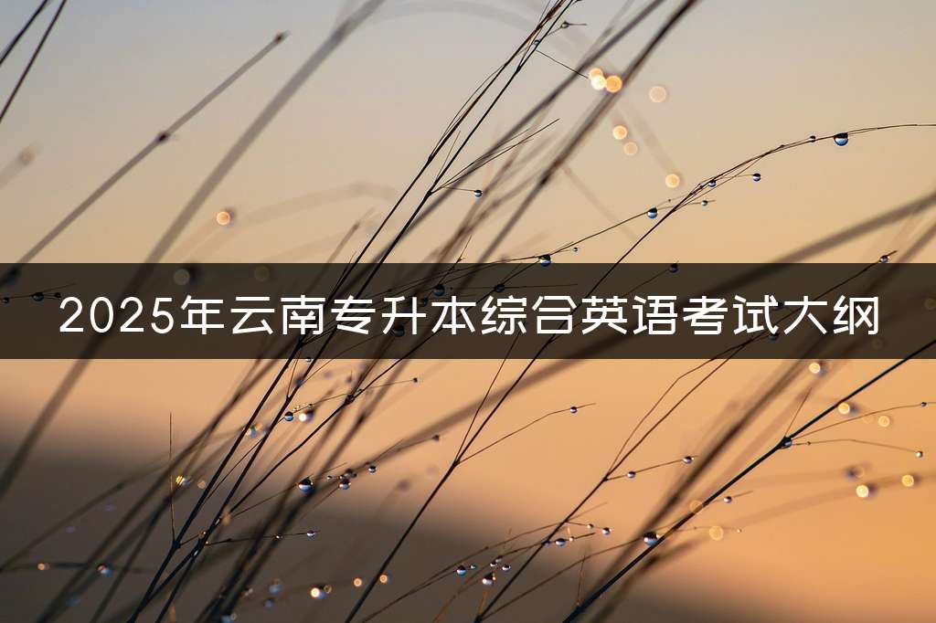 2025年云南专升本综合英语考试大纲