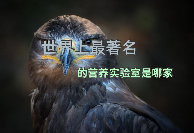 世界上最著名的营养实验室是哪家