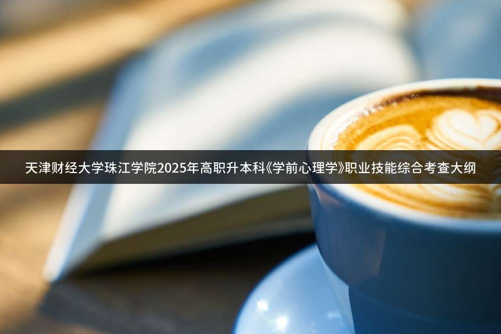 天津财经大学珠江学院2025年高职升本科《学前心理学》职业技能综合考查大纲