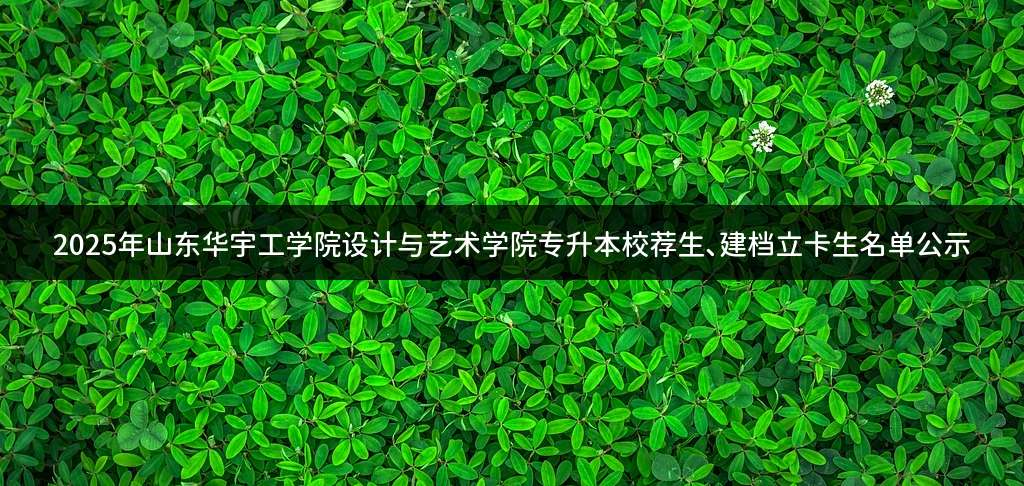 2025年山东华宇工学院设计与艺术学院专升本校荐生、建档立卡生名单公示