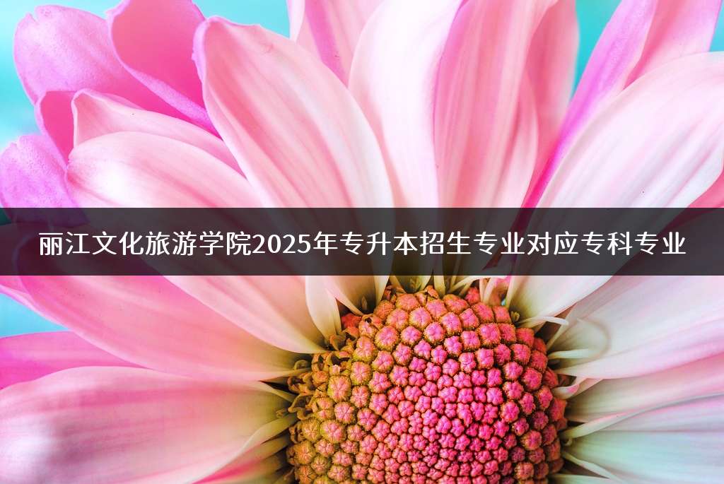 丽江文化旅游学院2025年专升本招生专业对应专科专业