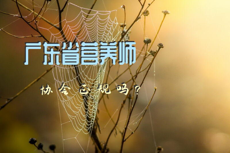 广东省营养师协会正规吗？