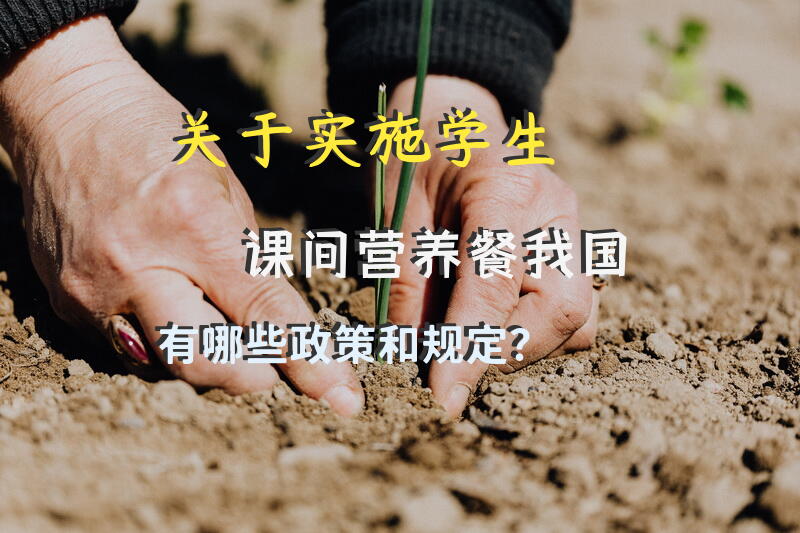 关于实施学生课间营养餐,我国有哪些政策和规定？