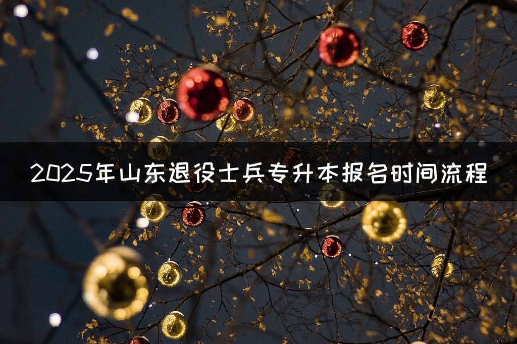 2025年山东退役士兵专升本报名时间流程