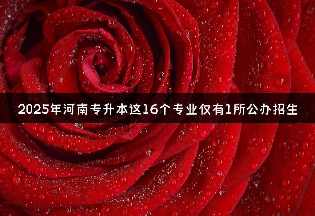 2025年河南专升本这16个专业仅有1所公办招生