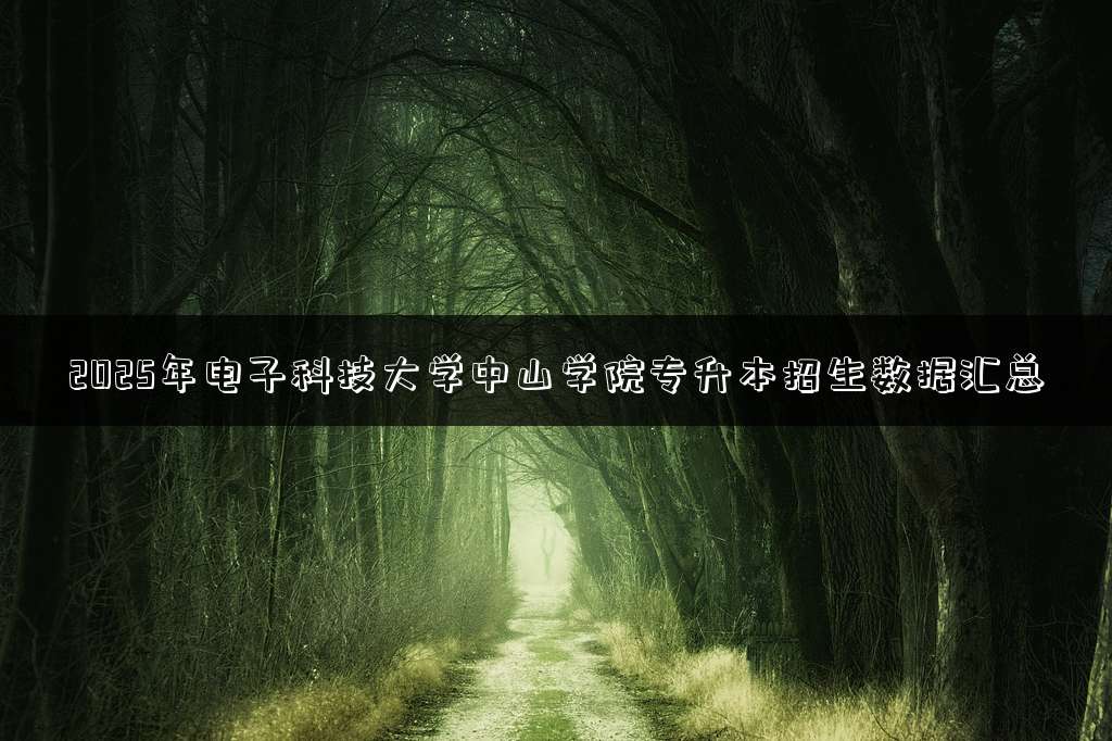2025年电子科技大学中山学院专升本招生数据汇总