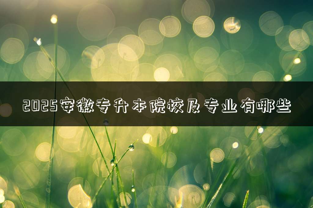 2025安徽专升本院校及专业有哪些