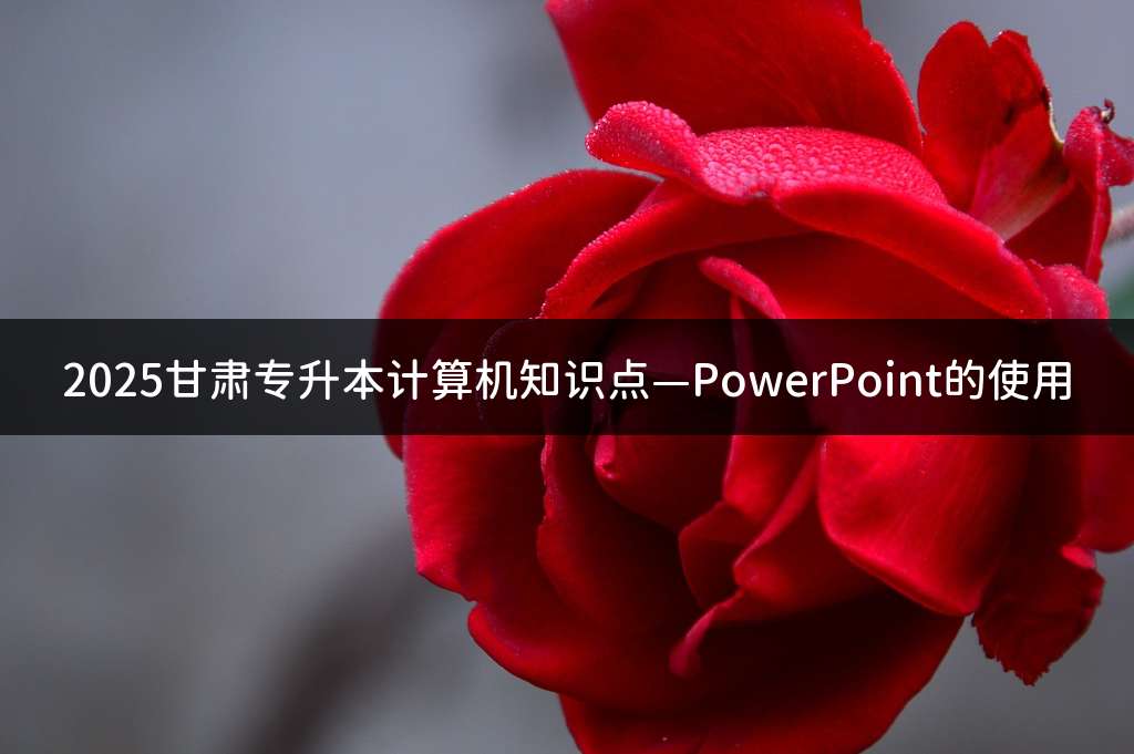 2025甘肃专升本计算机知识点—PowerPoint的使用