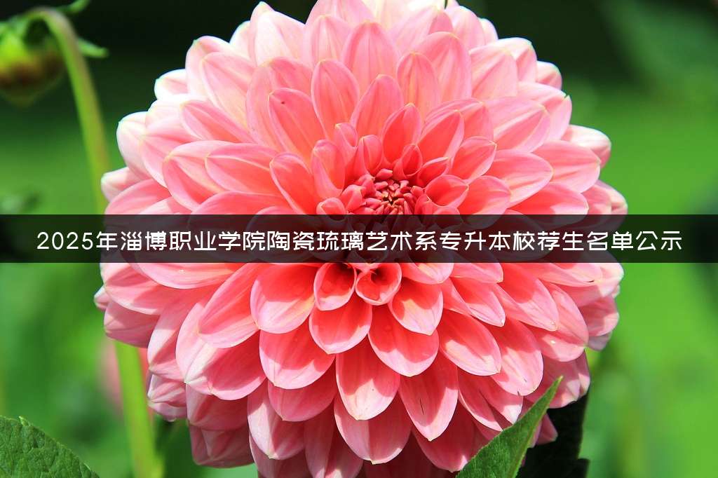 2025年淄博职业学院陶瓷琉璃艺术系专升本校荐生名单公示