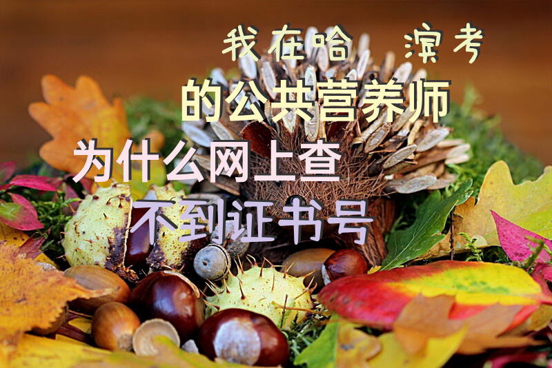 我在哈尔滨考的公共营养师为什么网上查不到证书号？