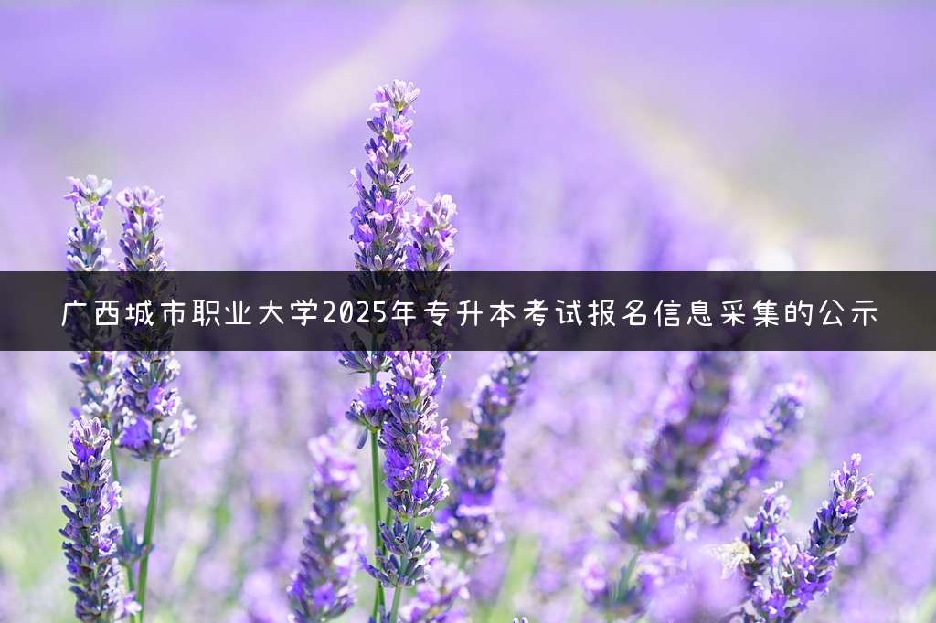 广西城市职业大学2025年专升本考试报名信息采集的公示