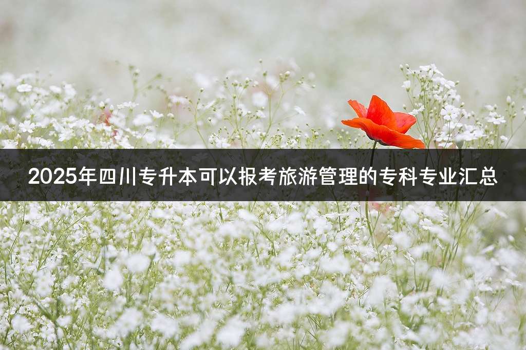 2025年四川专升本可以报考旅游管理的专科专业汇总