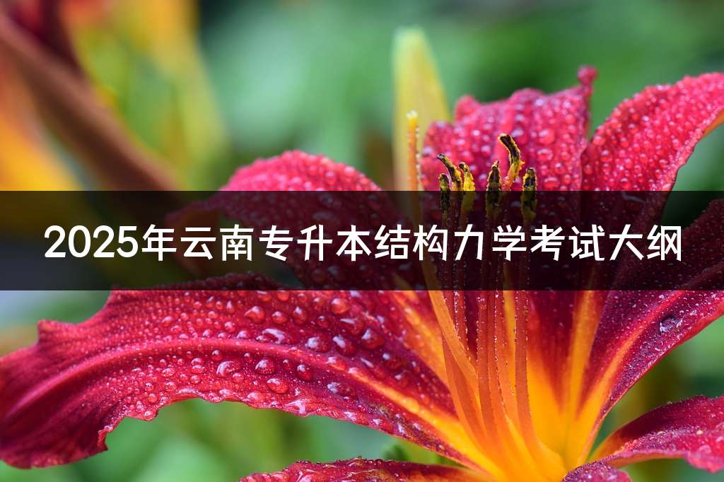 2025年云南专升本结构力学考试大纲