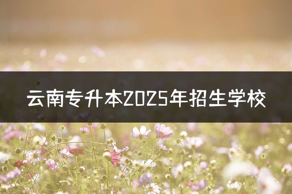 云南专升本2025年招生学校