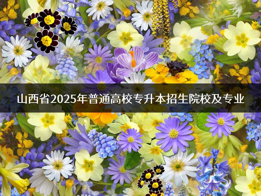山西省2025年普通高校专升本招生院校及专业