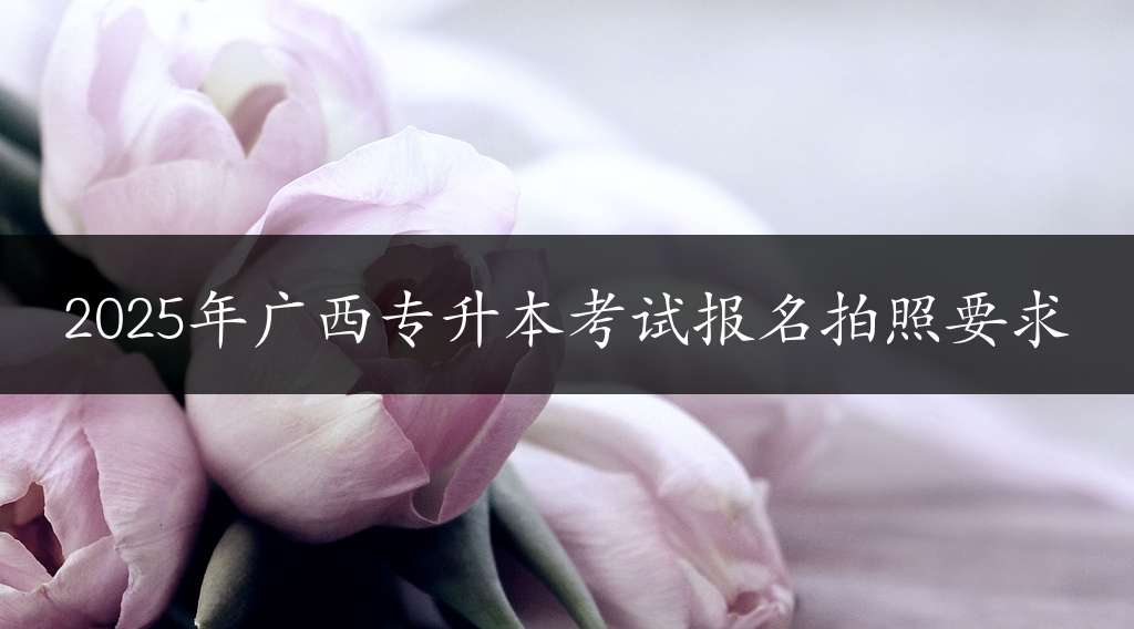 2025年广西专升本考试报名拍照要求