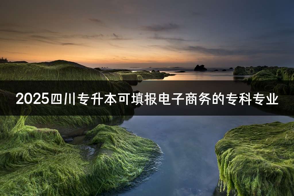 2025四川专升本可填报电子商务的专科专业