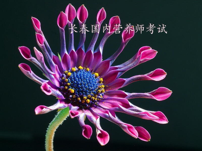 长春国内营养师考试