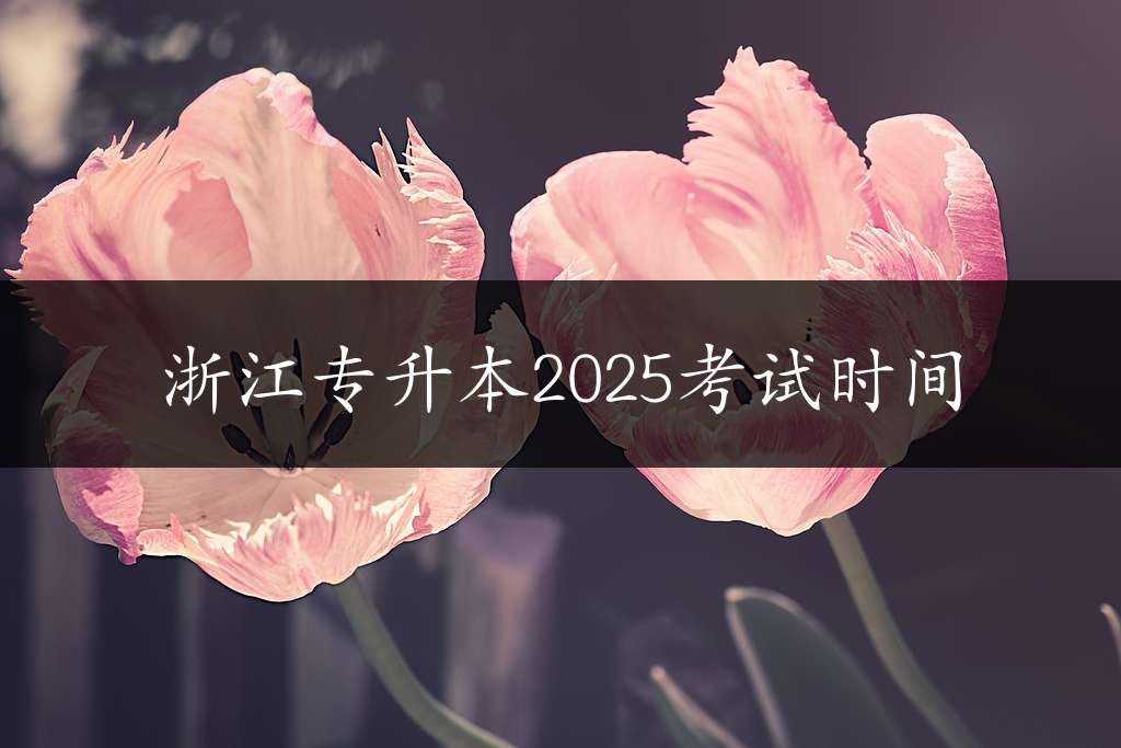 浙江专升本2025考试时间
