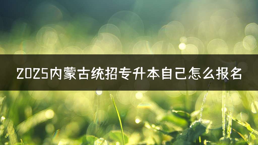2025内蒙古统招专升本自己怎么报名