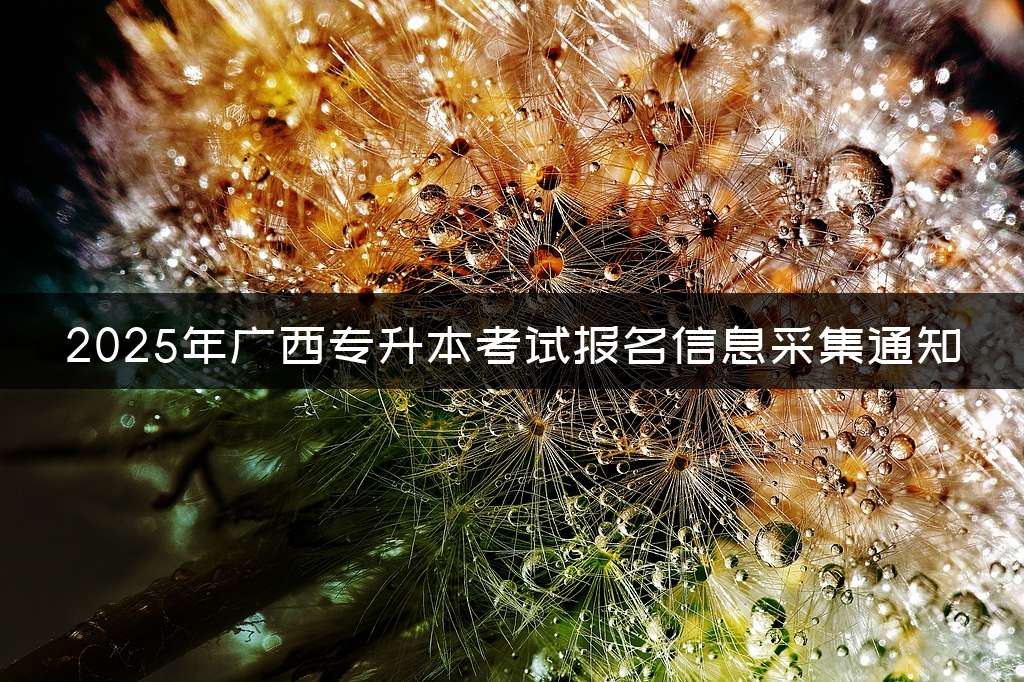 2025年广西专升本考试报名信息采集通知