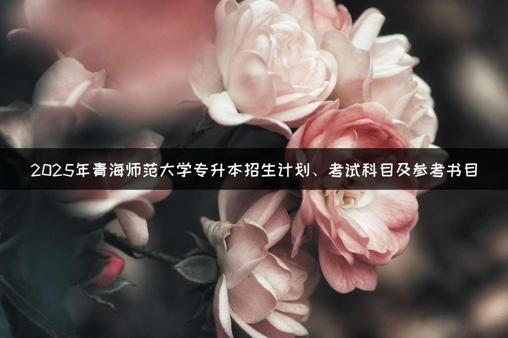2025年青海师范大学专升本招生计划、考试科目及参考书目