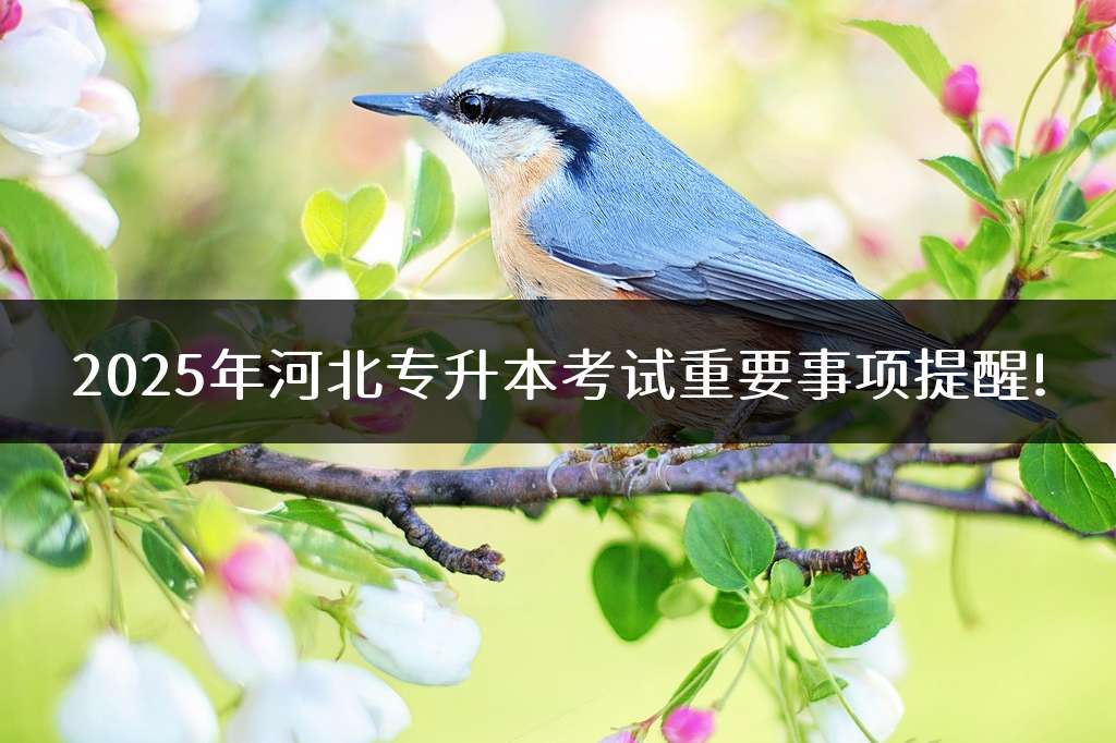 2025年河北专升本考试重要事项提醒!