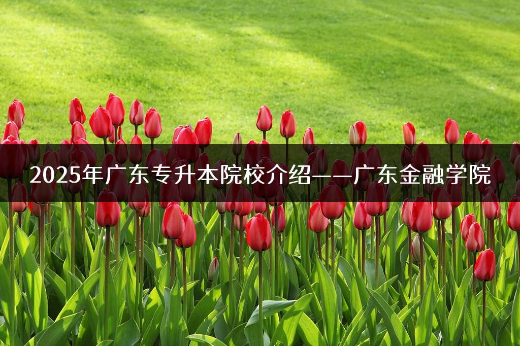 2025年广东专升本院校介绍——广东金融学院